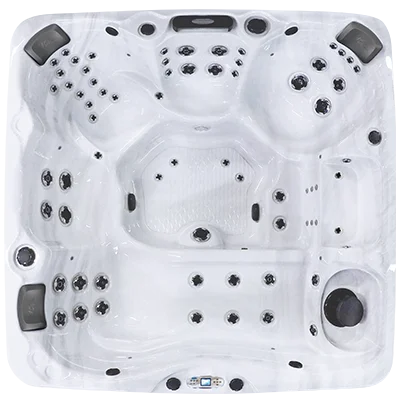 Avalon EC-867L hot tubs for sale in Portland